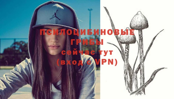 прущий лед Кукмор