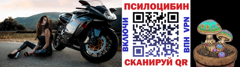 Галлюциногенные грибы Cubensis  Ясный 